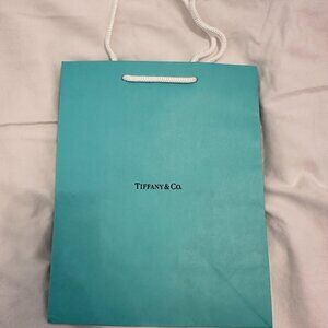 8x10 Tiffany & Co 8x10 Gift Bags